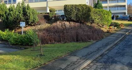 Apartment Magic Forest - Magic Forest