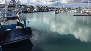 Een jachthaven met aangemeerde boten, kalm water en gebouwen op de achtergrond.