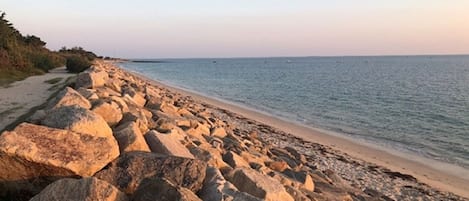在海滩