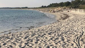 Une plage de sable avec une clôture en bois et des arbres en arrière-plan.