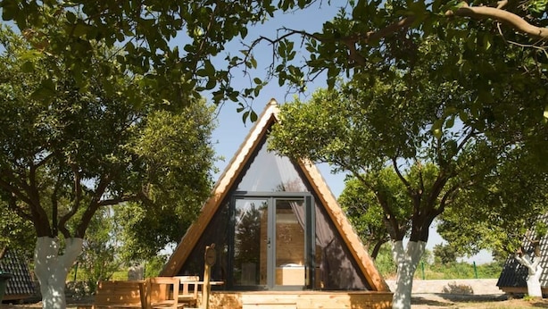 Estructura de madera triangular con puerta de vidrio, rodeada de árboles.