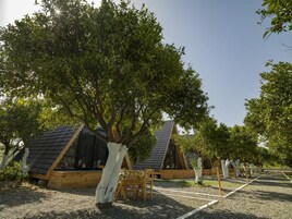 Jardín