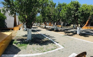 A row of tree-lined pathways leading to wooden structures with sloped roofs, likely accommodations. - Limon Datca (Datça)