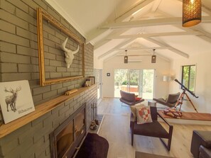 Smart TV, chimenea, Netflix y libros