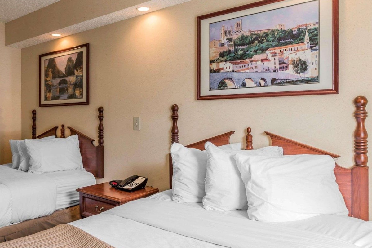 Quarto de hotel com duas camas, uma cabeceira de madeira, uma mesinha de cabeceira com um telefone e duas molduras com imagens na parede.