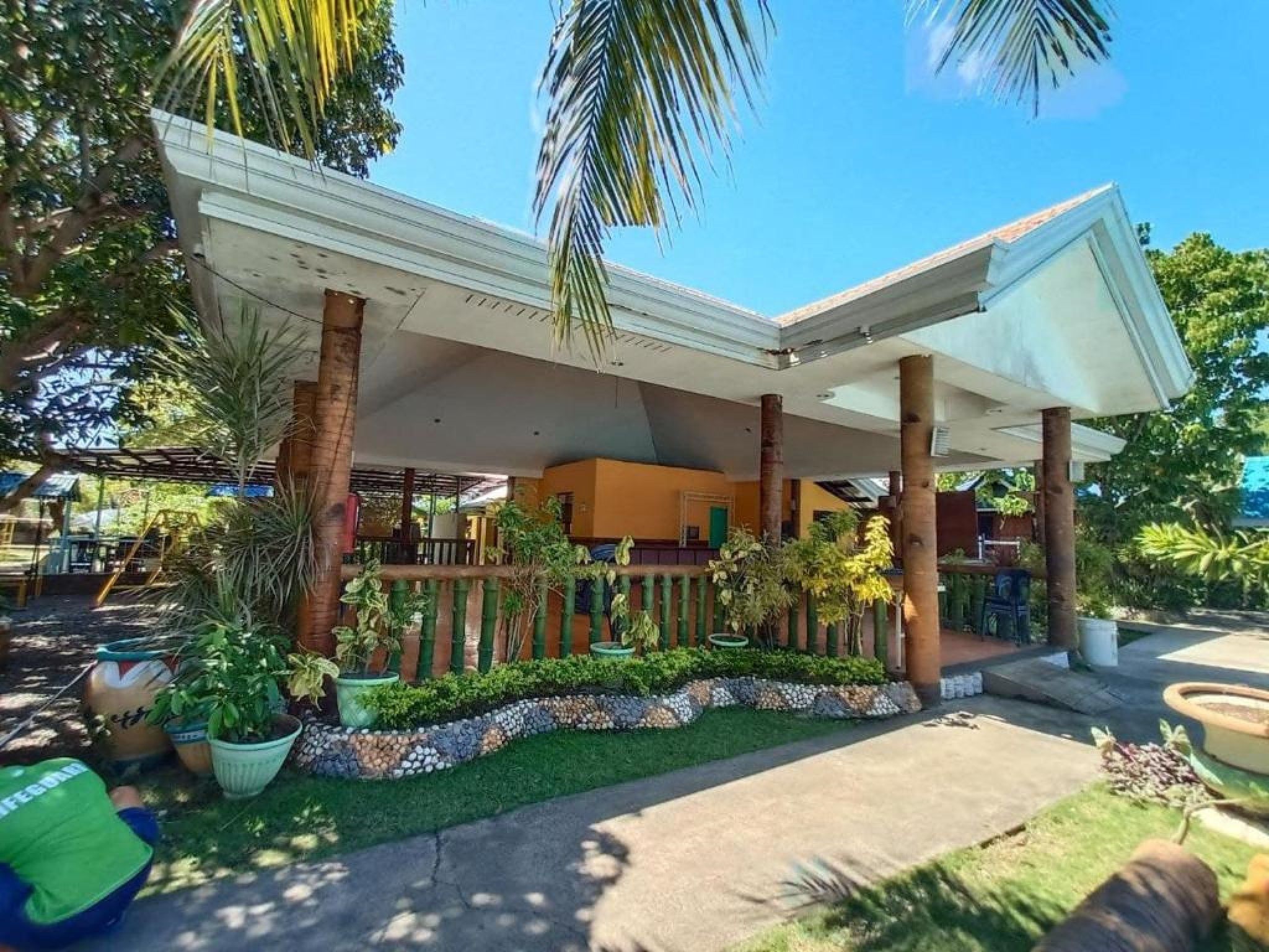 A covered outdoor area with a palm tree, potted plants, and a concrete pathway.