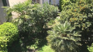 A courtyard with various types of greenery, including palm trees and bushes, surrounded by a building. - Fewo für 6 Personen "200 Jahre Altes Pfarrhaus" (Ghiffa)