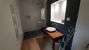 Regadera, secadora de cabello, toallas, papel de baño 