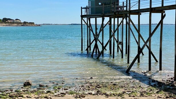 Un molo si protende in acque calme, con una spiaggia sabbiosa in primo piano.