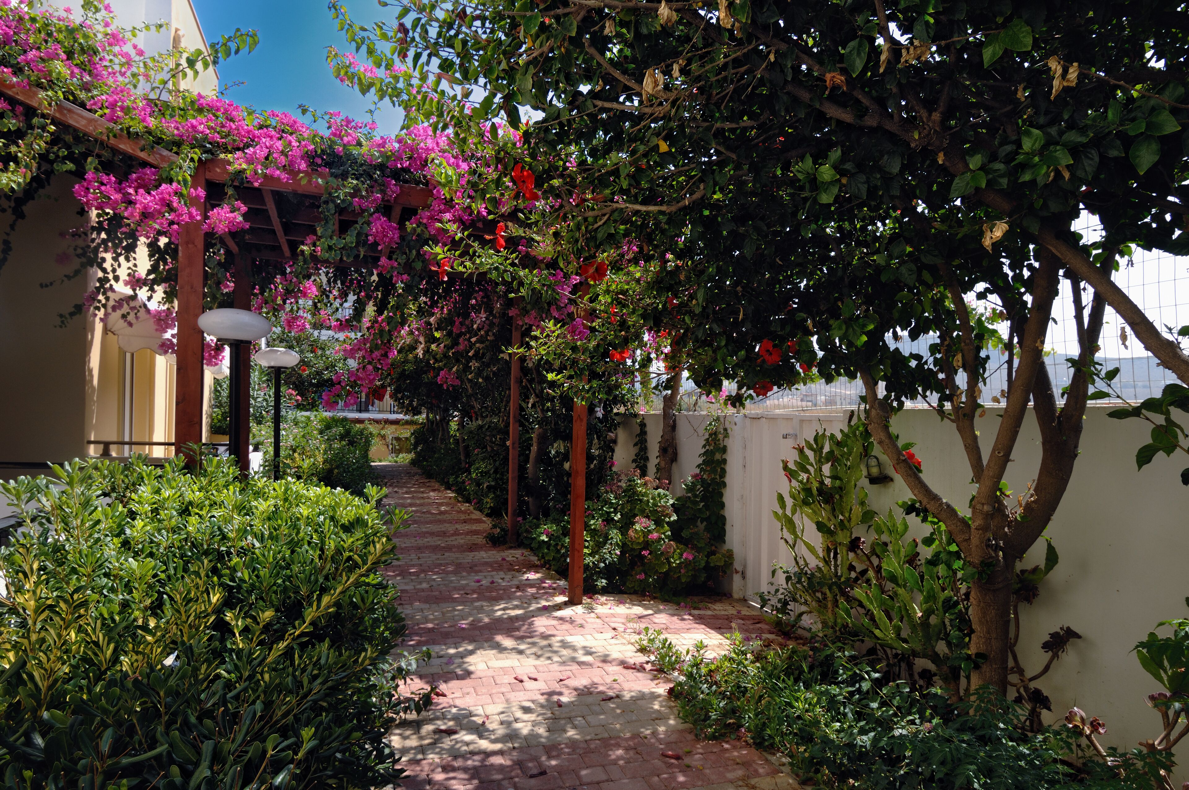 Foto - Golden Bay Boutique Hotel & Bungalows