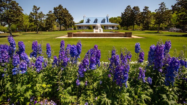A building with a blue roof and a fountain in the center of a well-manicured lawn. - TB 94B Dog friendly Garden home in the peaceful True Blue community. (Pawleys island)