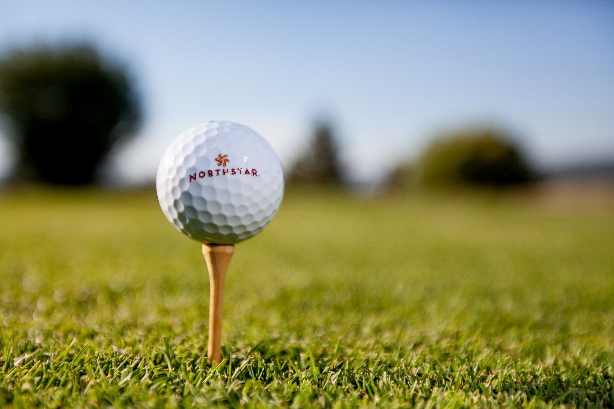 A golf ball on a tee in a grassy field.