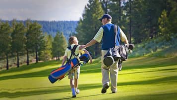 Room, 1 Bedroom | Golf