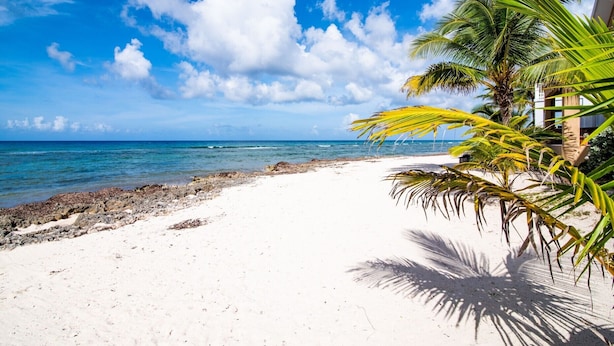 A beach with white sand, clear blue water, and palm trees. - 20 Steps to the Beach  -SUMMER DISCOUNT- (Grand Cayman)