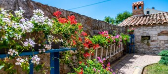 Holiday house Andrea with pool