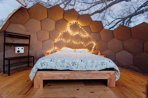 Les Bulles Perchées de Lartigue