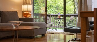 Vermont get-away end unit townhouse nestled in the trees 