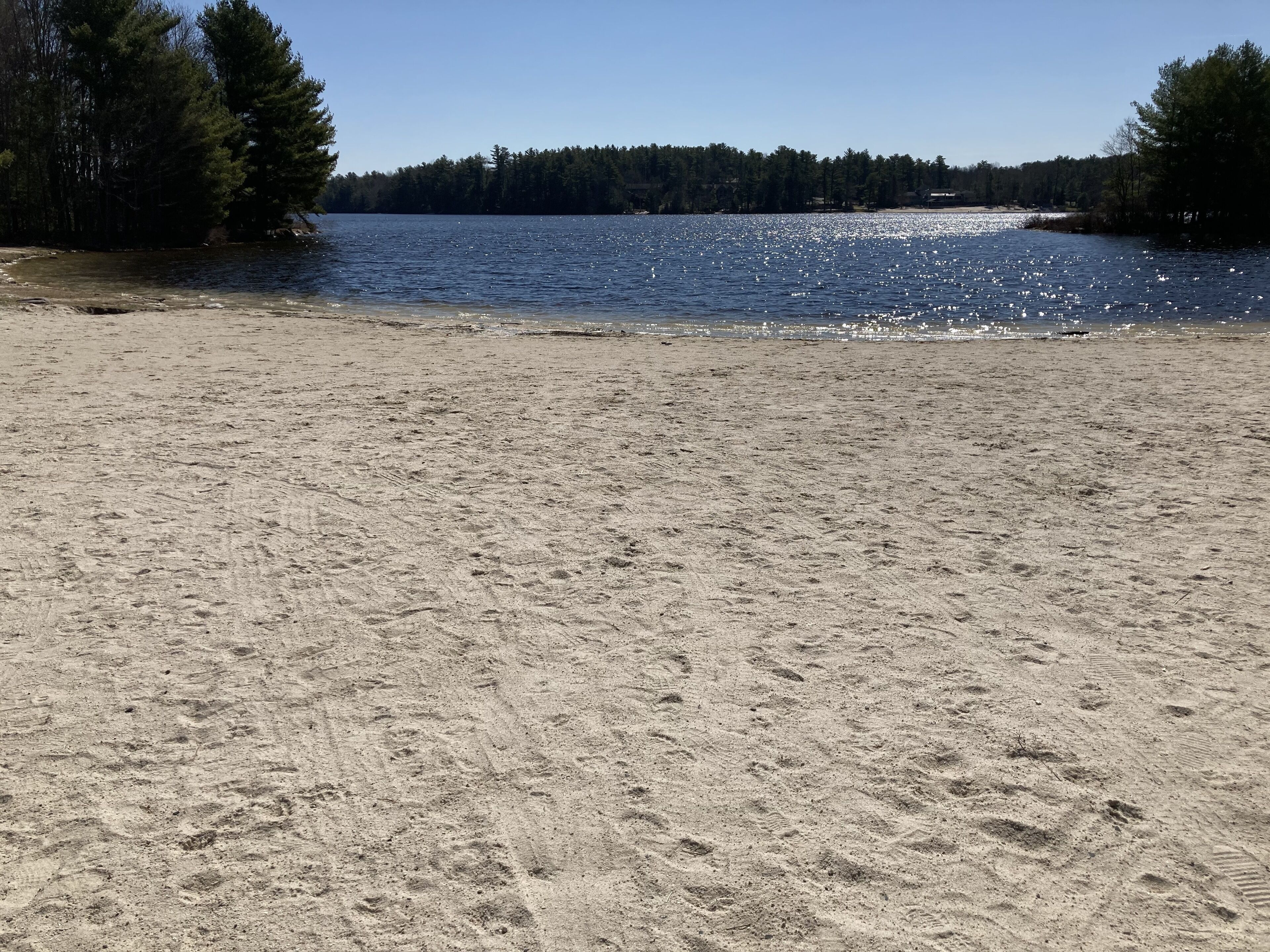 A sandy beach with footprints leading to a calm body of water, surrounded by dense trees.