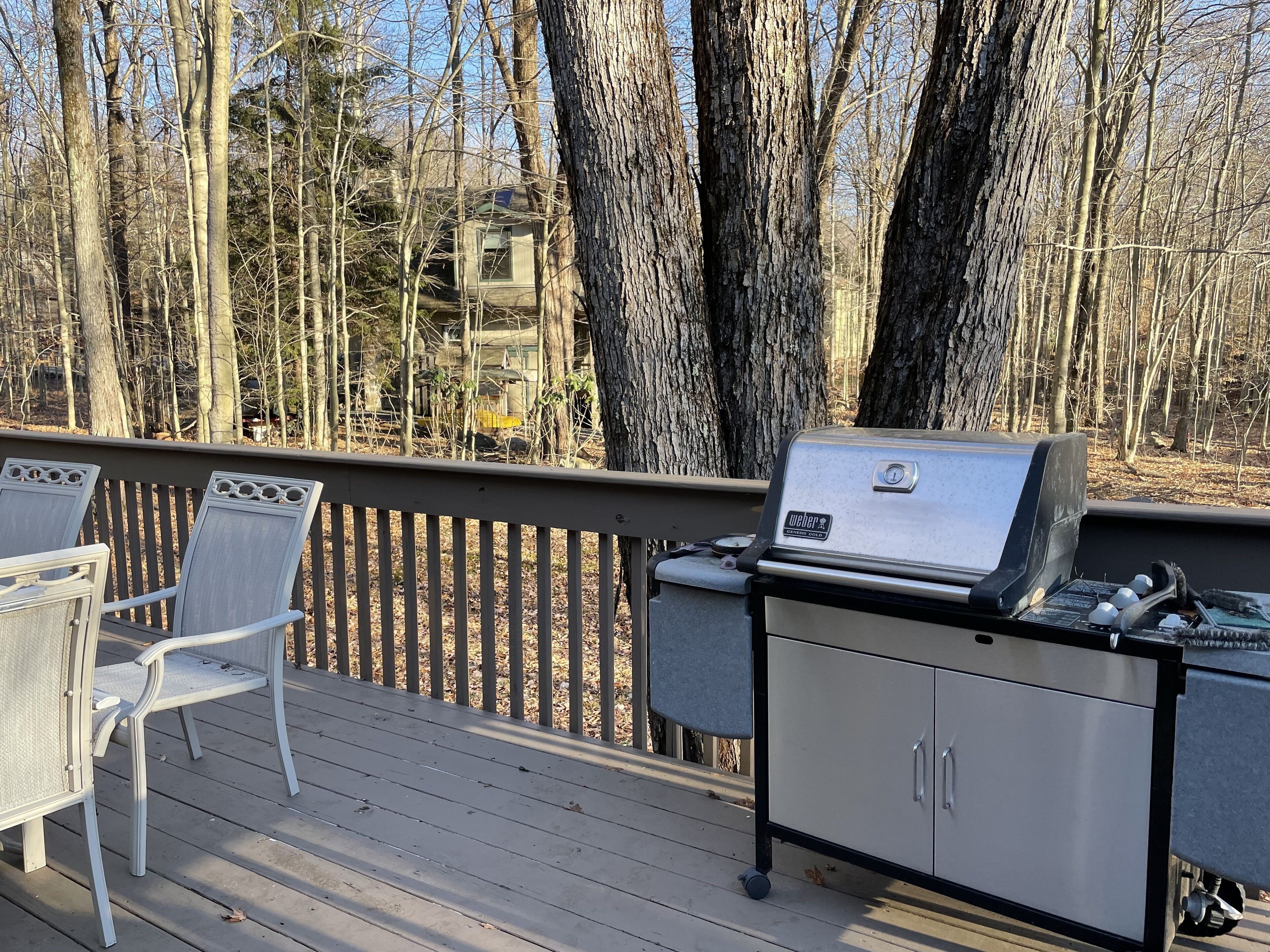 Eine Terrasse mit Grill und Stühlen, umgeben von Bäumen.