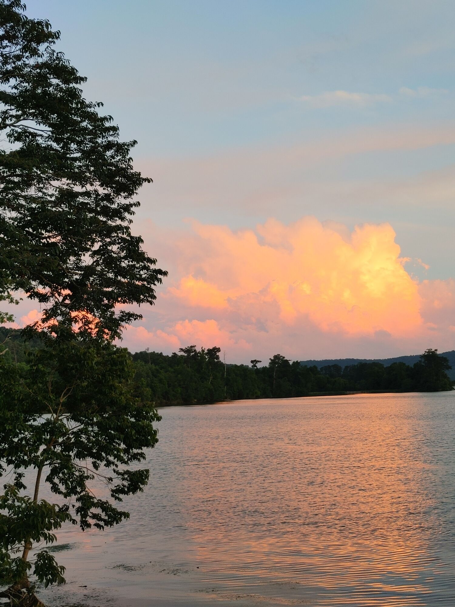 A calm lake with trees in the foreground and a sunset in the background.