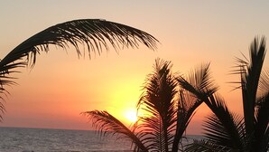 Atardecer sobre el océano con palmeras silueteadas contra el cielo.