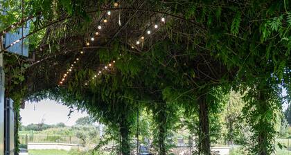 Spacious, fully air-conditioned Provençal country residence with pool