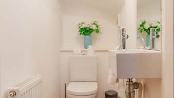 Combined shower/tub, hair dryer, towels, soap