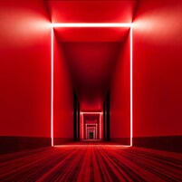 Roupas de cama premium, edredons de pluma, cortinas blackout