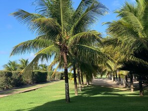 Overnattingsstedets uteområder