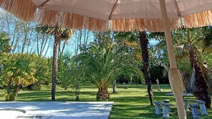 Una gran estructura de sombrerella en un jardí amb palmeres i una estàtua al fons.