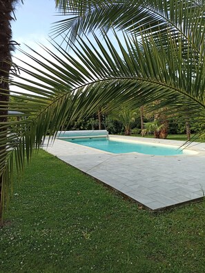 Outdoor pool - Gîte with swimming pool landes (Cauneille)