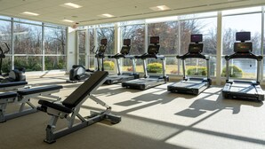 Une salle de sport équipée de tapis de course, d’un banc de développé couché et d’un appareil d’aviron, avec de grandes fenêtres donnant sur un paysage naturel.
