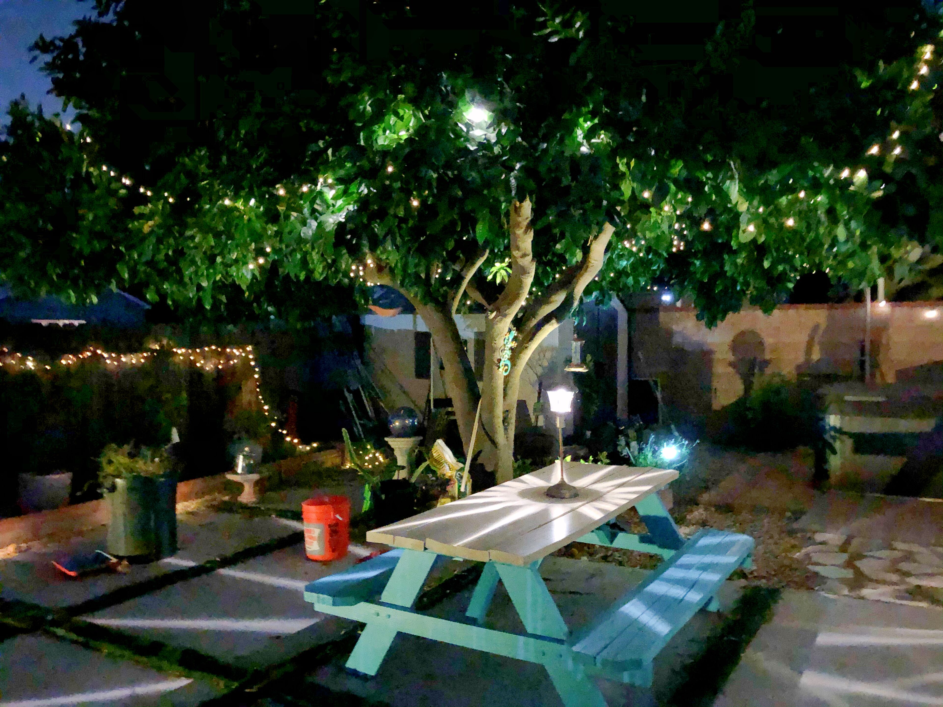 A picnic table with a white tablecloth, surrounded by greenery and string lights.