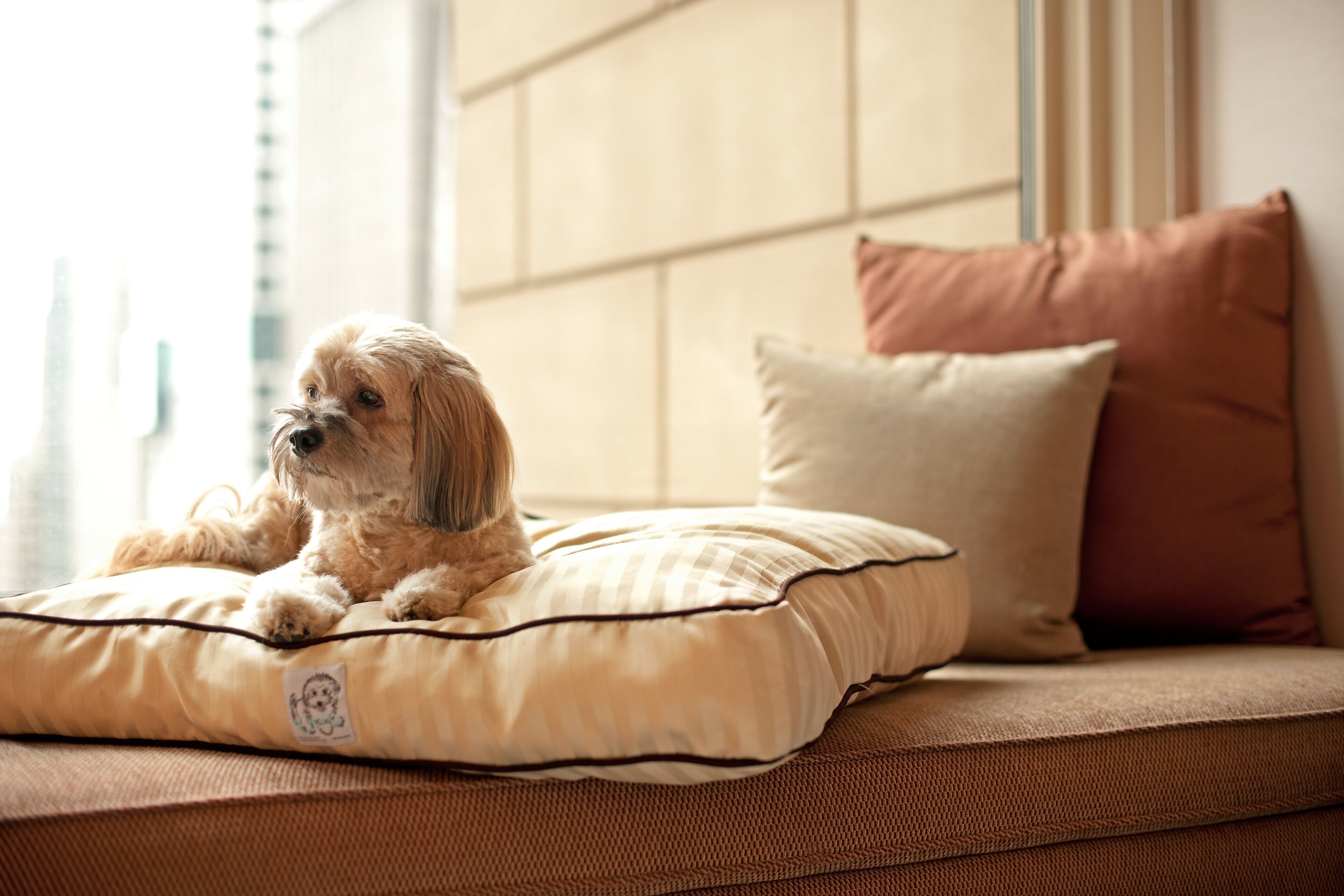 Photo - The Tess, Autograph Collection