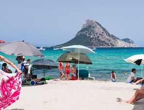 Playa en los alrededores 