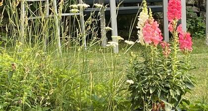 Gemütliche und große Wohnung im idyllischen Harz