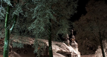 GemĂŒtliche und groĂe Wohnung im idyllischen Harz