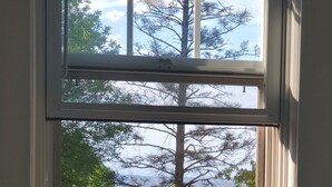 Ein Fenster mit Blick auf einen Baum und eine Wiese.