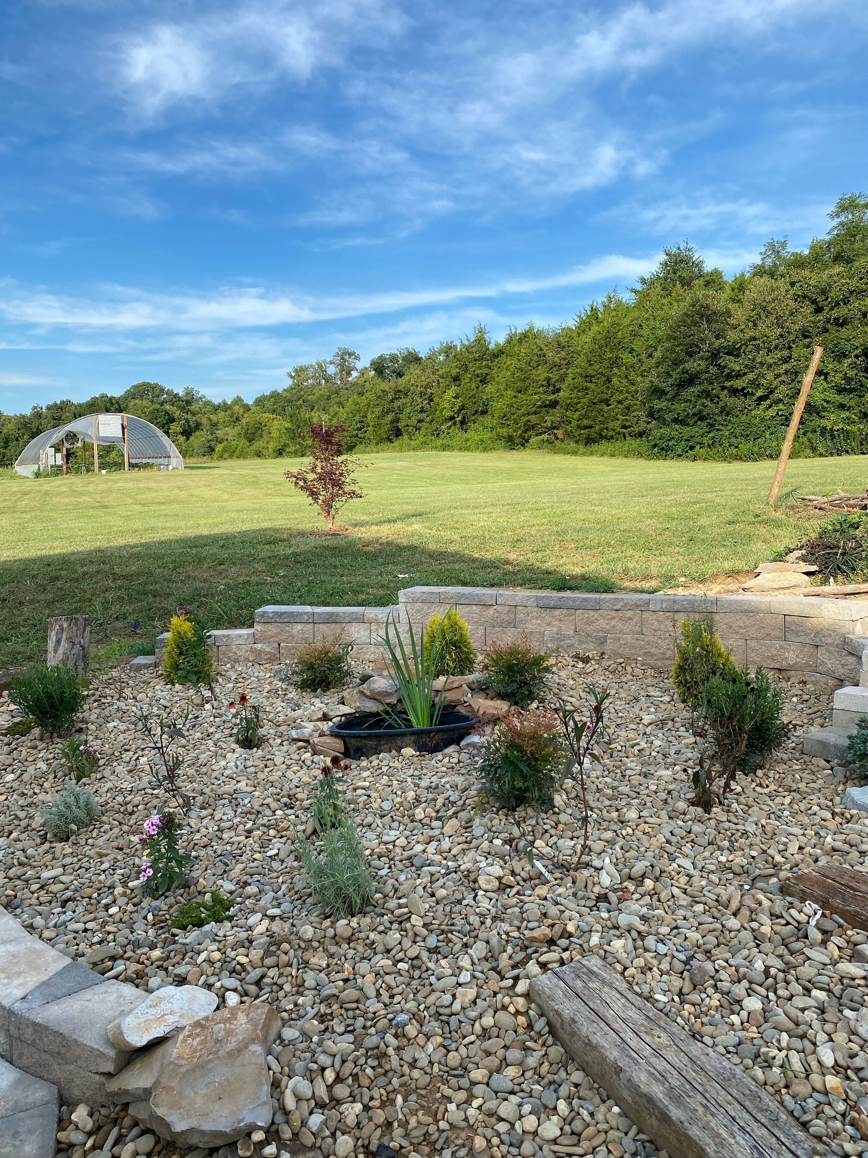 A garden with a greenhouse, a small pond, and a variety of plants.