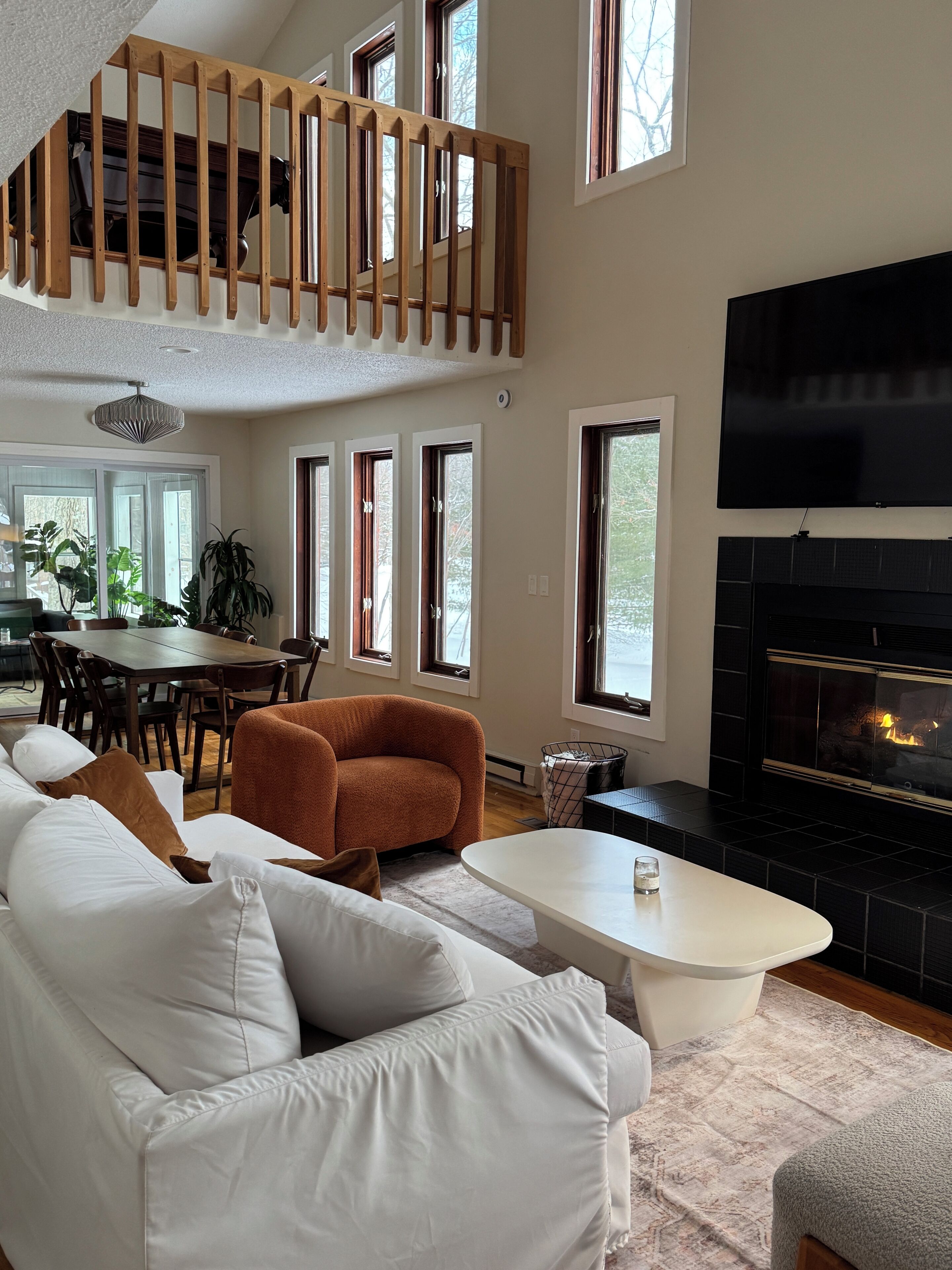 Smart TV, fireplace, video games, books