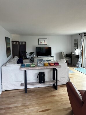 Smart TV, fireplace, DVD player, books