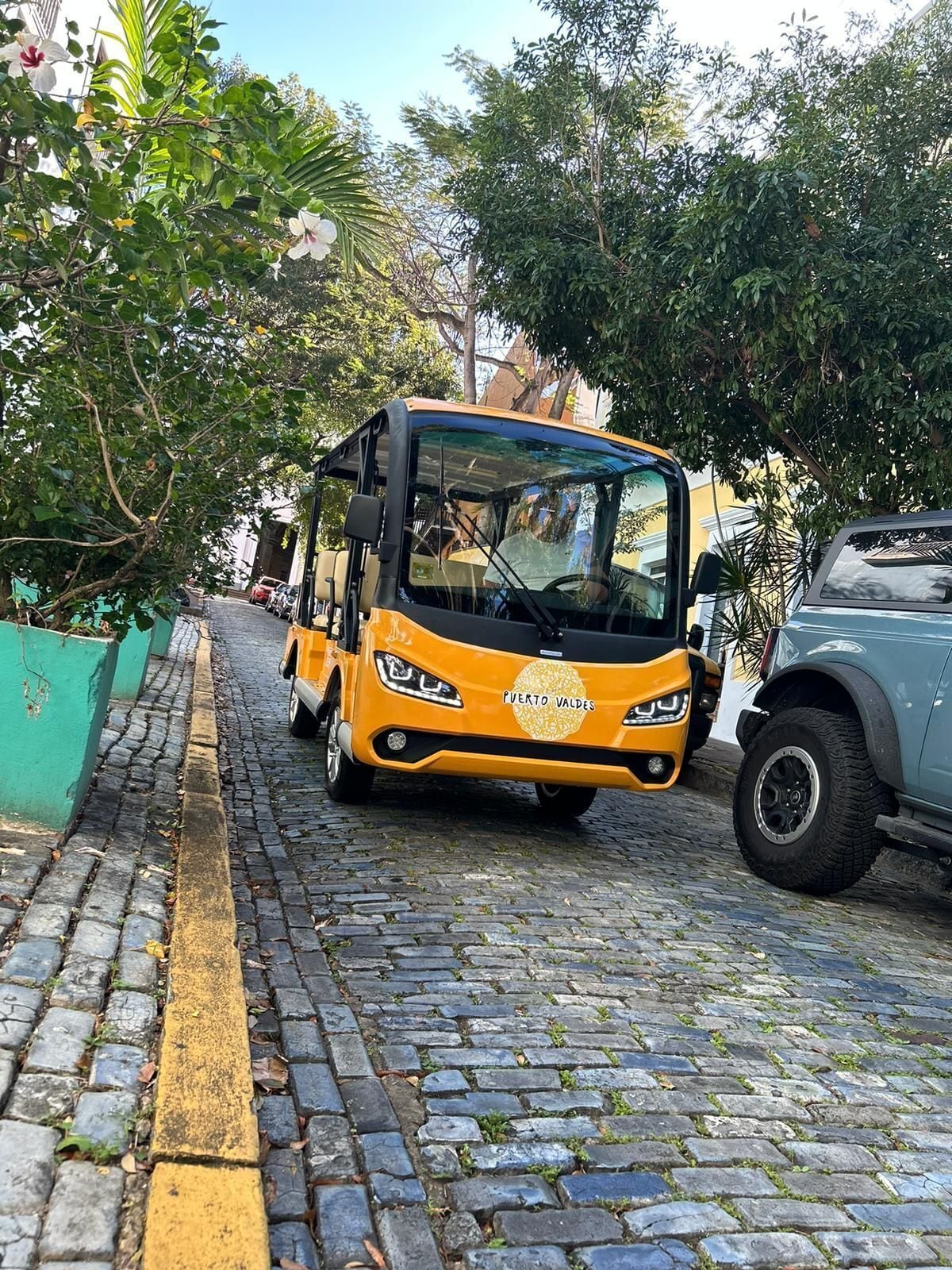 cruise terminal shuttle