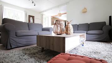 Télévision, cheminée, lecteur de DVD, chaßne hi-fi