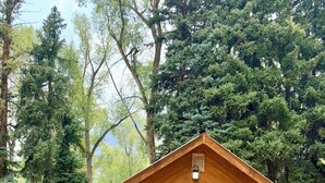 A wooden cabin with a red door, a covered porch, and a gravel driveway. - The Guest Cottage in Lake City (Lake City)