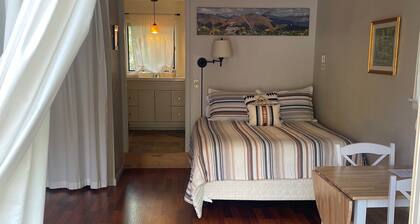 The Guest Cottage in Lake City