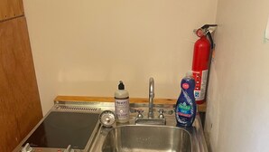 A compact kitchen with a dishwasher, a sink, and a fire extinguisher mounted on the wall. - The Guest Cottage in Lake City (Lake City)