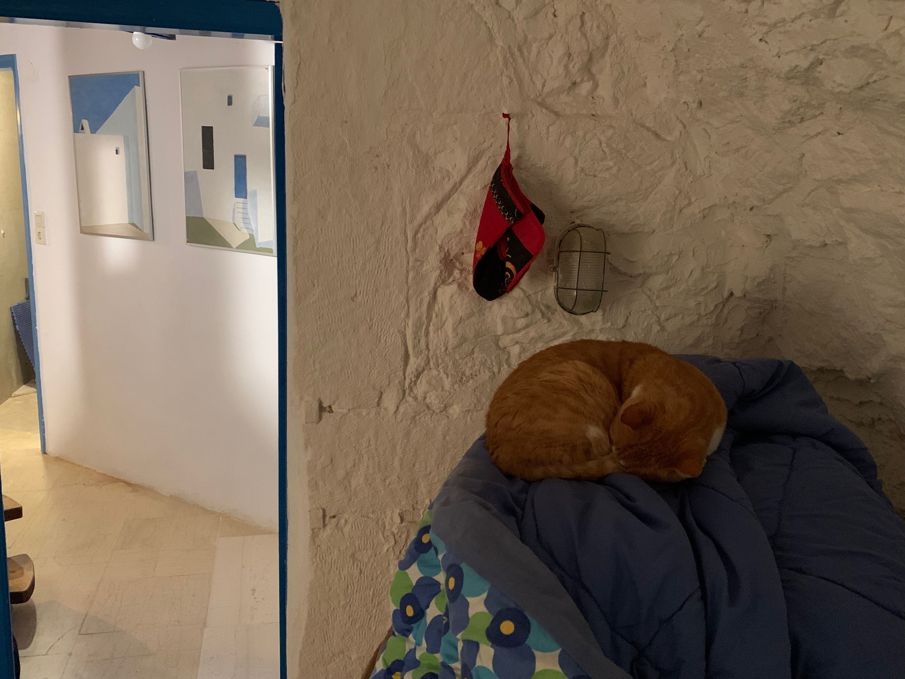 Una habitación con pared texturizada, una cama con manta azul y un pantuflón rojo y negro colgado en la pared.