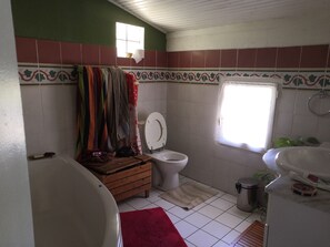 Combined shower/bathtub, hair dryer, towels, soap