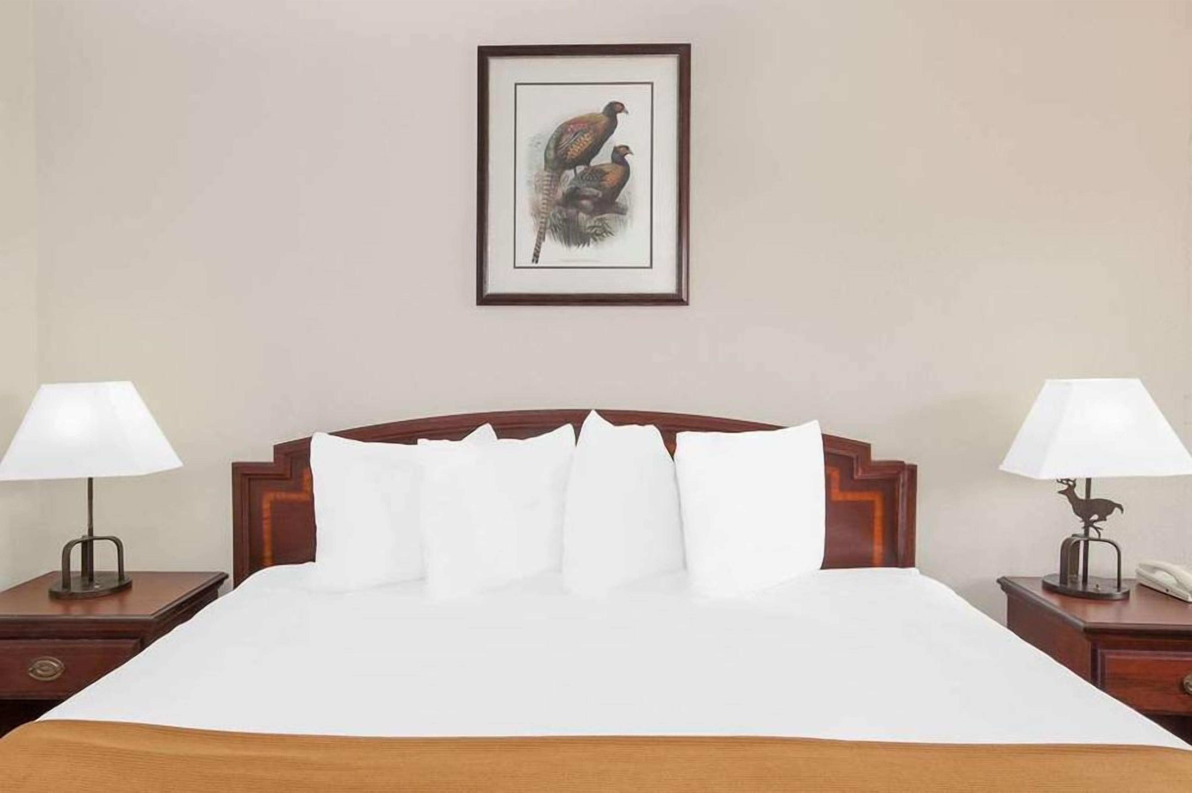 Een hotelkamer met een groot bed, twee nachtkastjes met lampen en een ingelijste foto aan de muur.