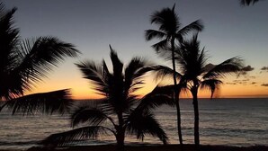 Une plage bordée de palmiers, dont les silhouettes se détachent sur le ciel au coucher du soleil.